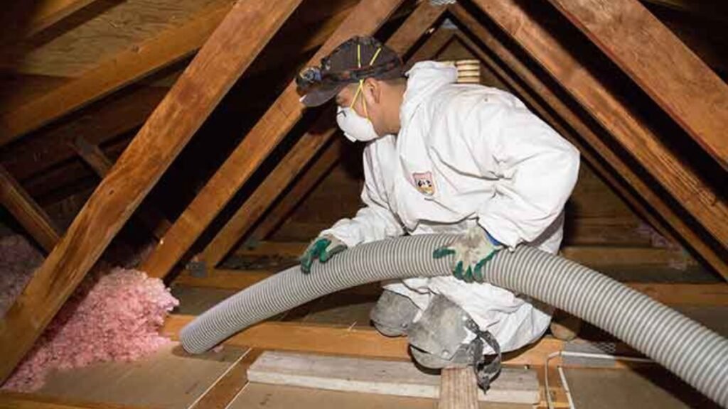 Safety and Disposal Standards